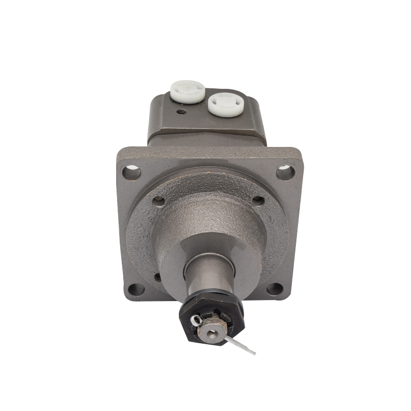 Zihyd BMRW of BMRW50,BMRW80,BMRW100,BMRW125,BMRW160,BMRW200,BMRW250,BMRW315,BMRW375 wheel hydraulic motor